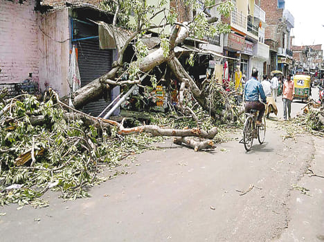 Sunny weather from rain , mercury reached 38