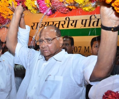 NCP to fight election in UP.