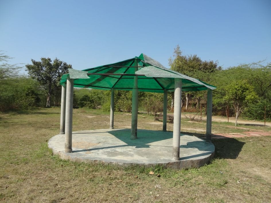Similar bird sanctuaries: Will the movement for rights
