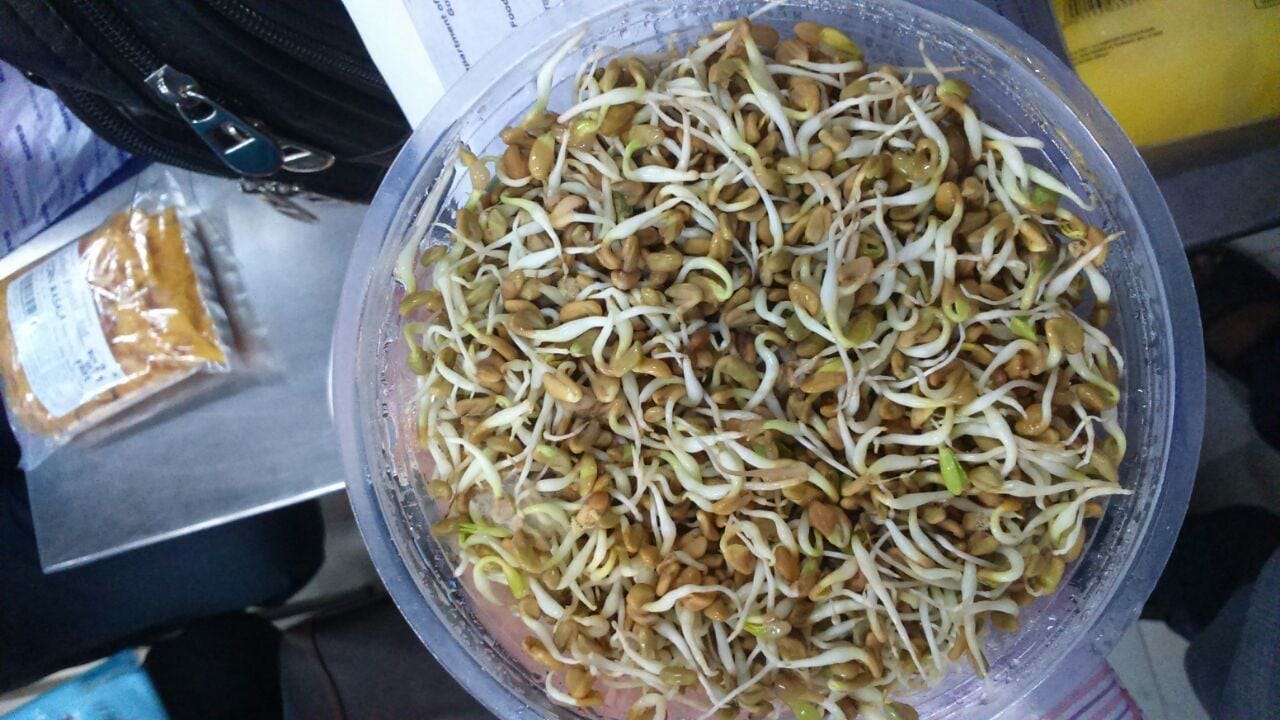 Plant Based Protein You Should Add in Your Diet Plan, best protein sources in hindi
