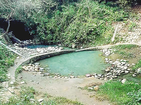 Natural water source and giving the green forest peace