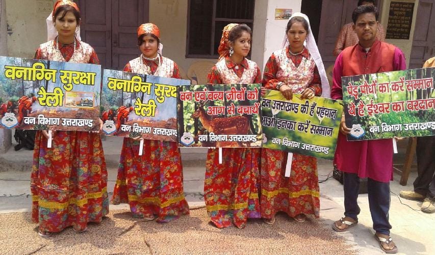 Save forests from fire
