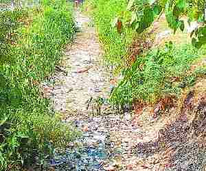 Canals are dry, farmers frustrated.