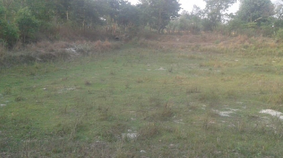 Cost 7.25 million, but dry pond