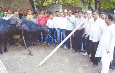 aap workers fired for water problem