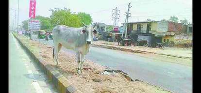 how will the National Highway In such circumstances