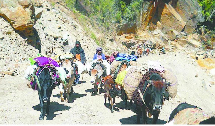 Landslide animals occupy Dhauli