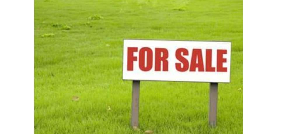 Housing Development Council 136 commercial plot will be auctioned on Friday