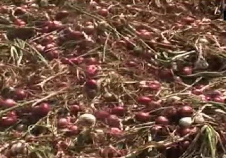 बेमौसम बरसात