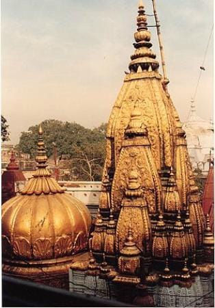 Surety of devotion came back