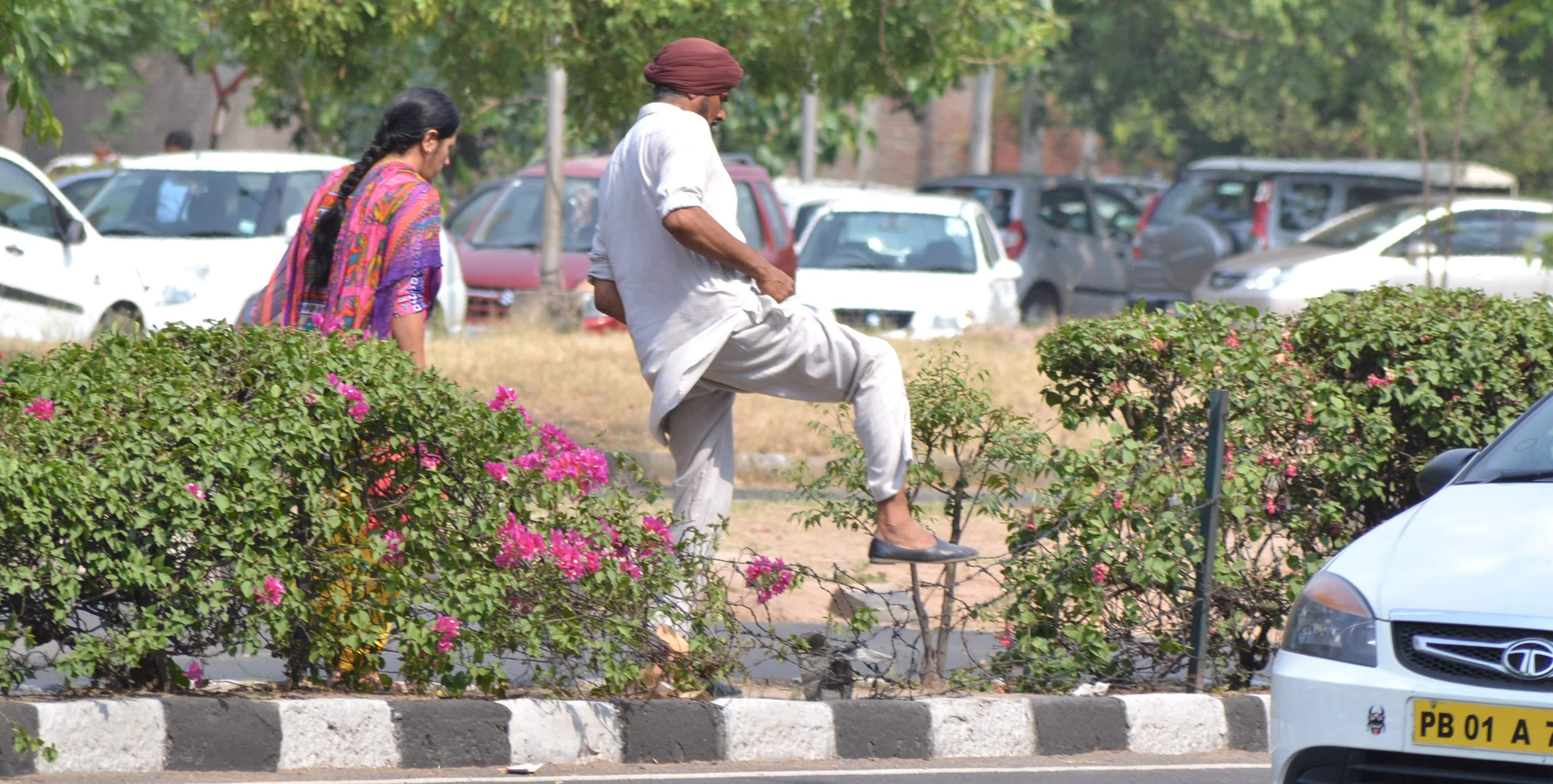 chandigarh news, city beautiful, devider, open electricity box, open wire, chandigarh