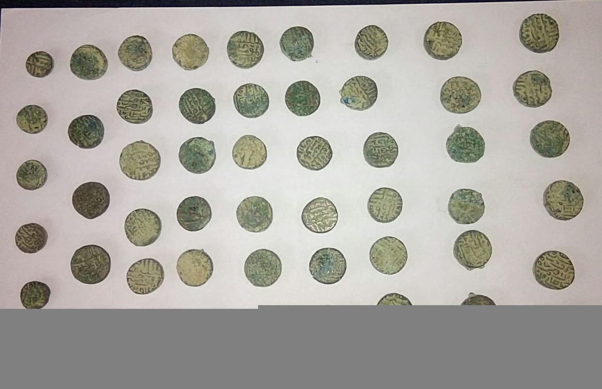 Ancient coins found in pond 