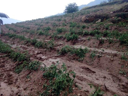 hailstone in uttarakhand hill area.