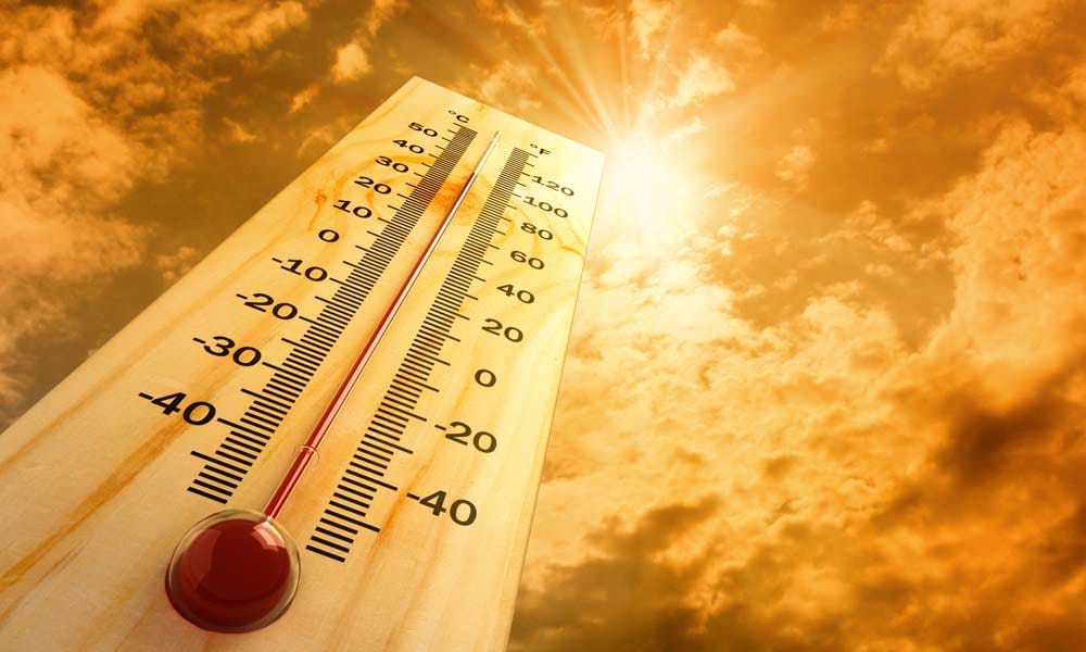 increasing temperature world wide risking you kidney