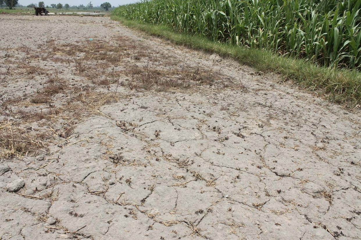 Empty canals, irrigation crisis deepens