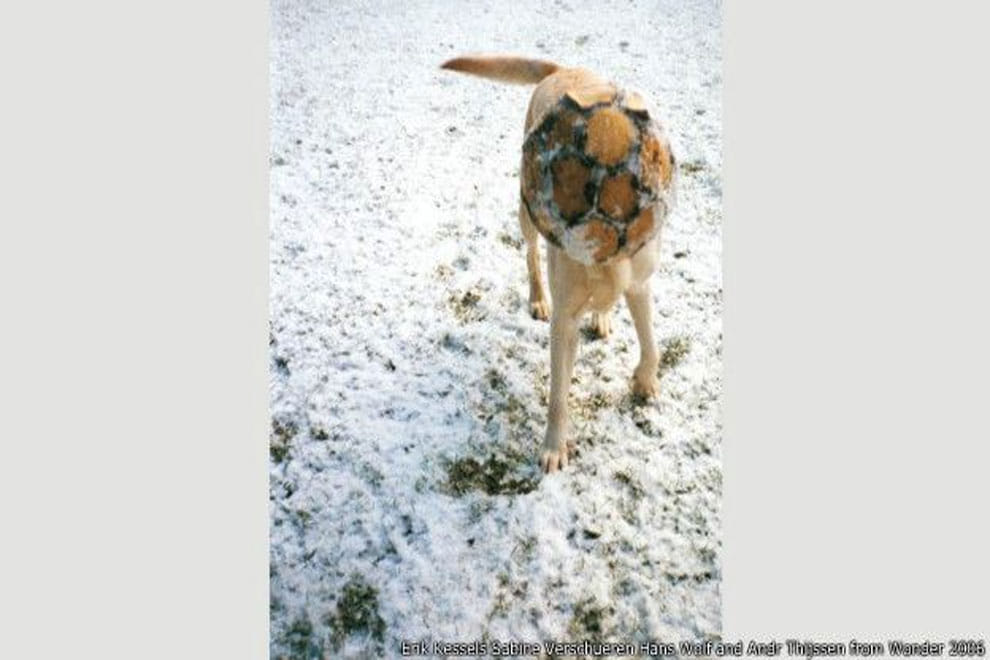 great photos capture by mistake