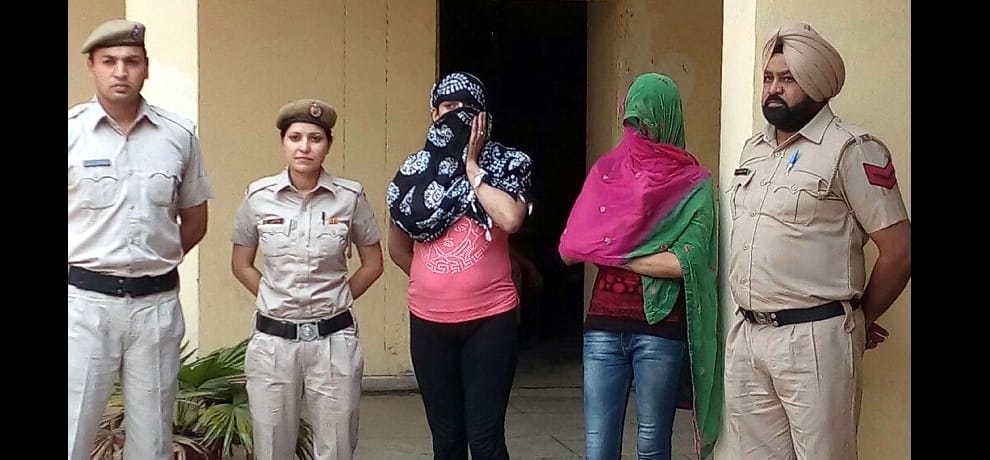 trans gender got bail