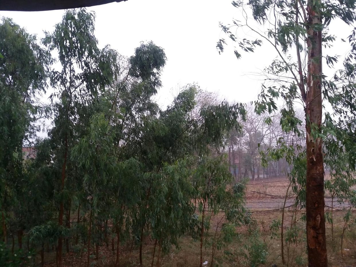 rain and ice falling