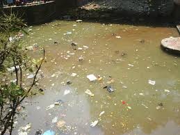 pollution in ramganga rever