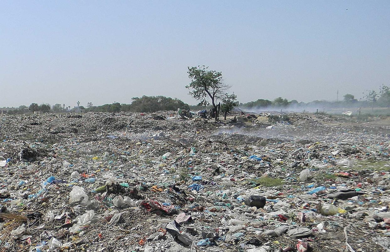 Fire destroyed the greenery of the municipality's garbage