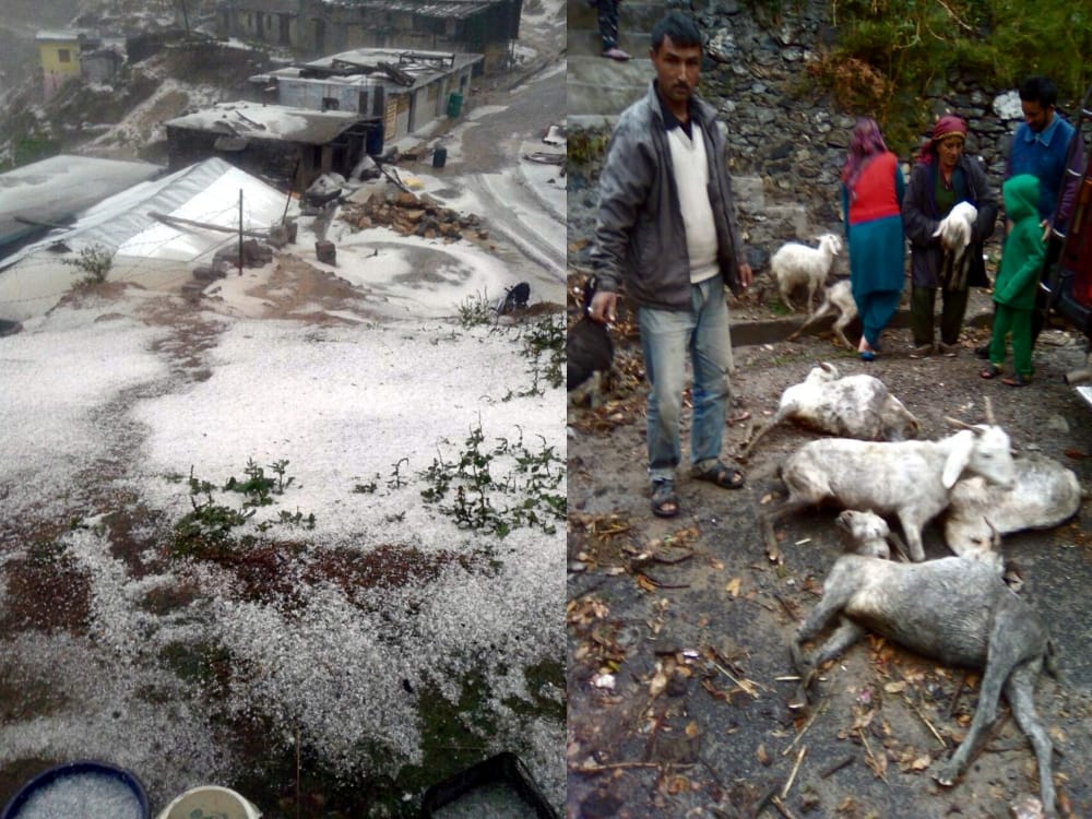 heavy hailstorm in uttarakhand