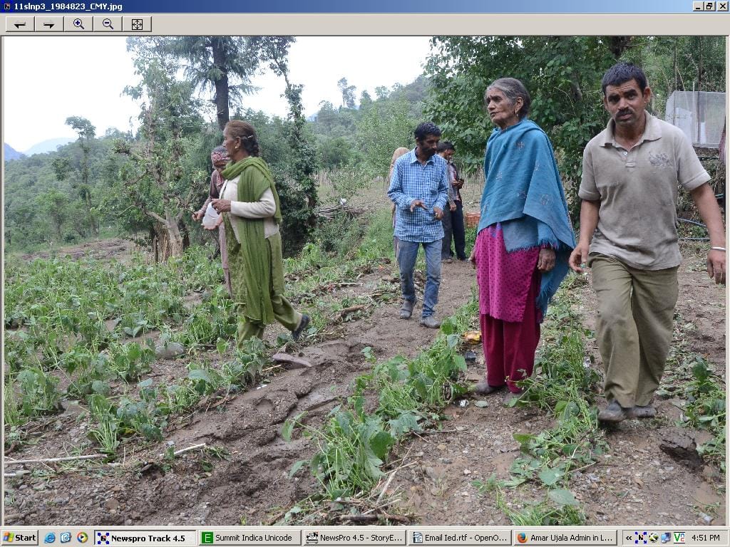 havvy rain destroy grain in solan