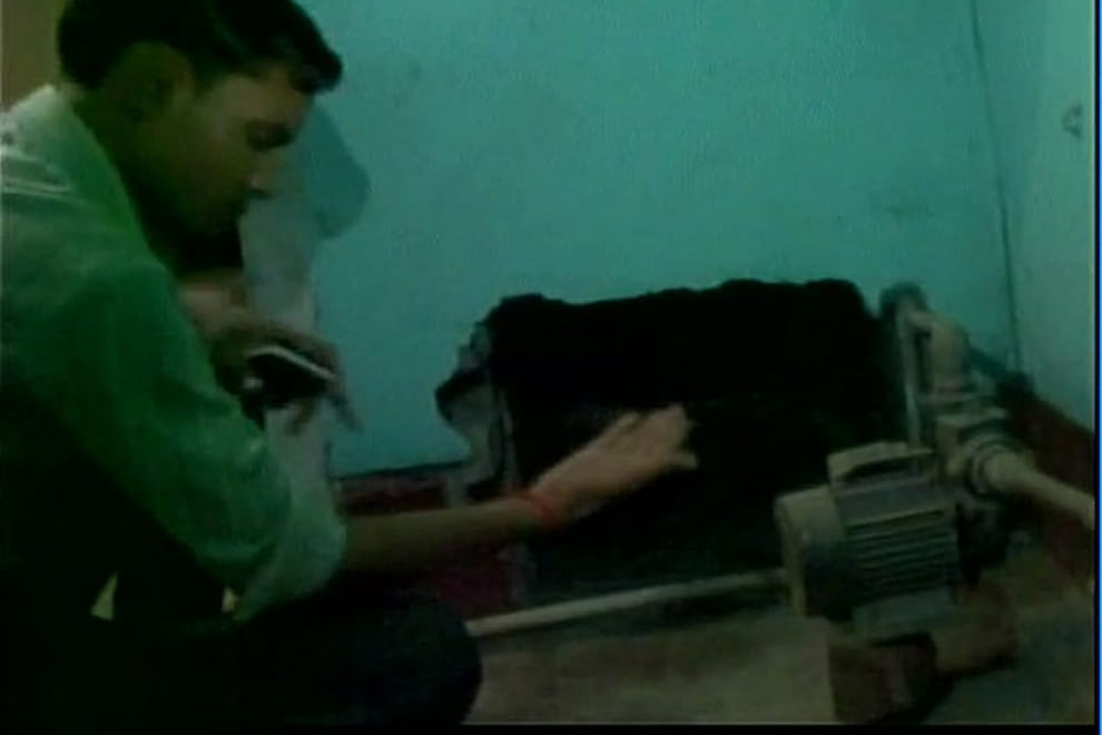 More than 150 snakes were found in a house in UP's Lakhimpur Kheri distt