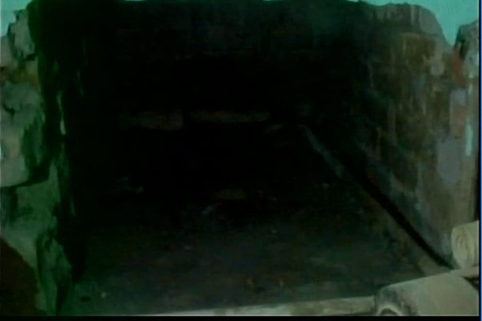 More than 150 snakes were found in a house in UP's Lakhimpur Kheri distt