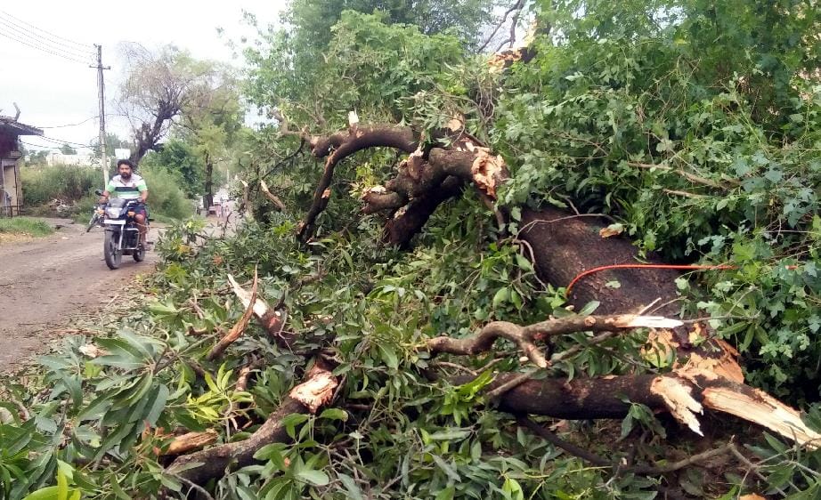 heavy loss with storm