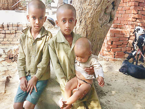 responsibility of the brothers on Suraj