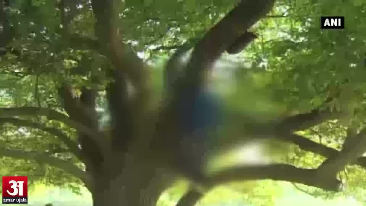 The young man died by hanging himself from a ceiling fan