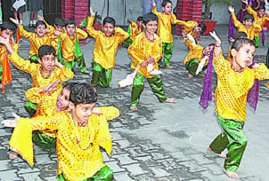 cultural presentation