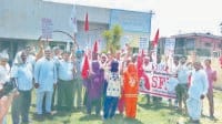 electric man on strike, jind on unelectrical