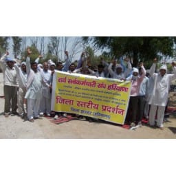 jhajjar, crime , electric news, jhajjar news
