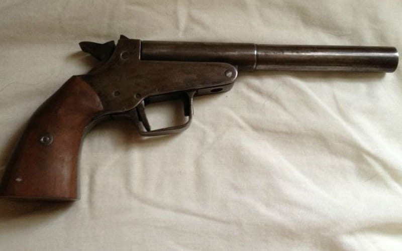 brother playing with gun, 10 year old dies in fire