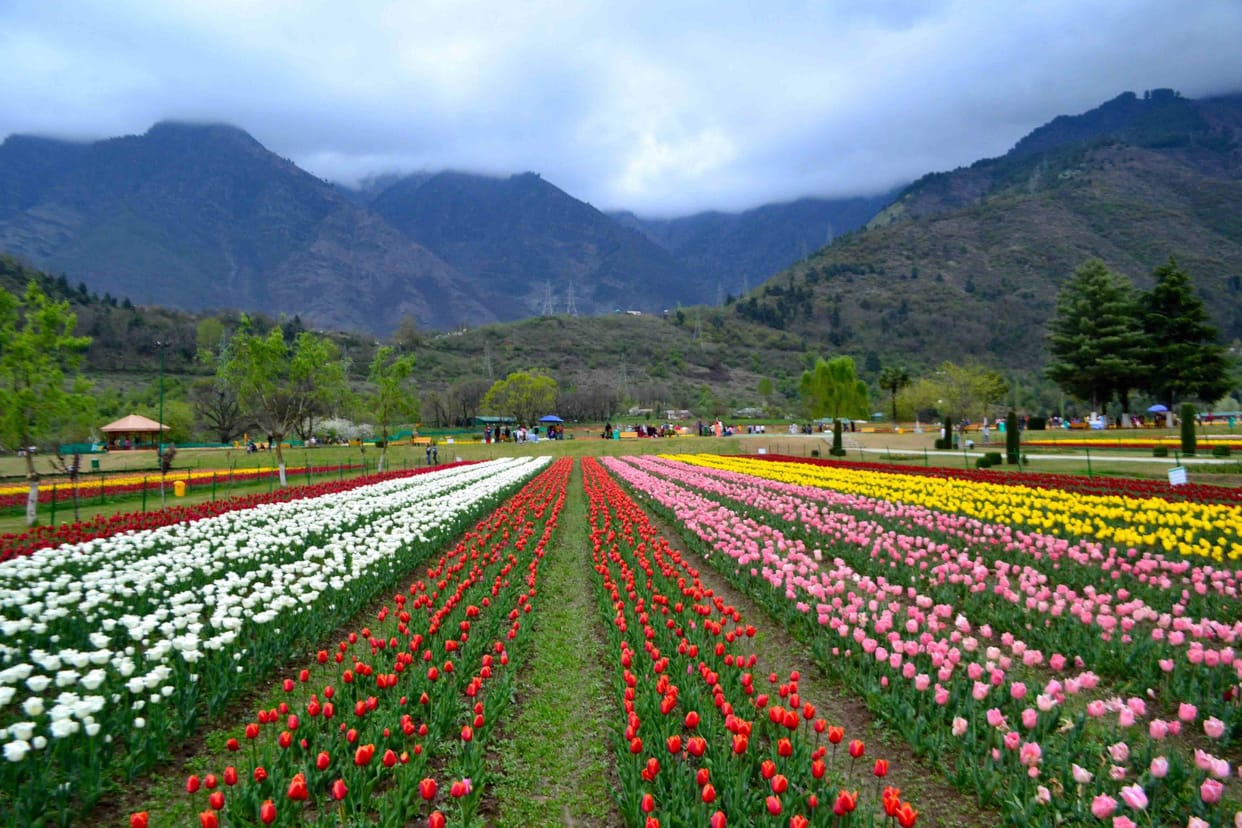 kashmir is world's best romantic place