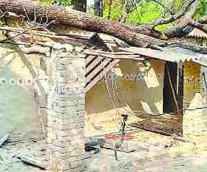 Tree falls on house.