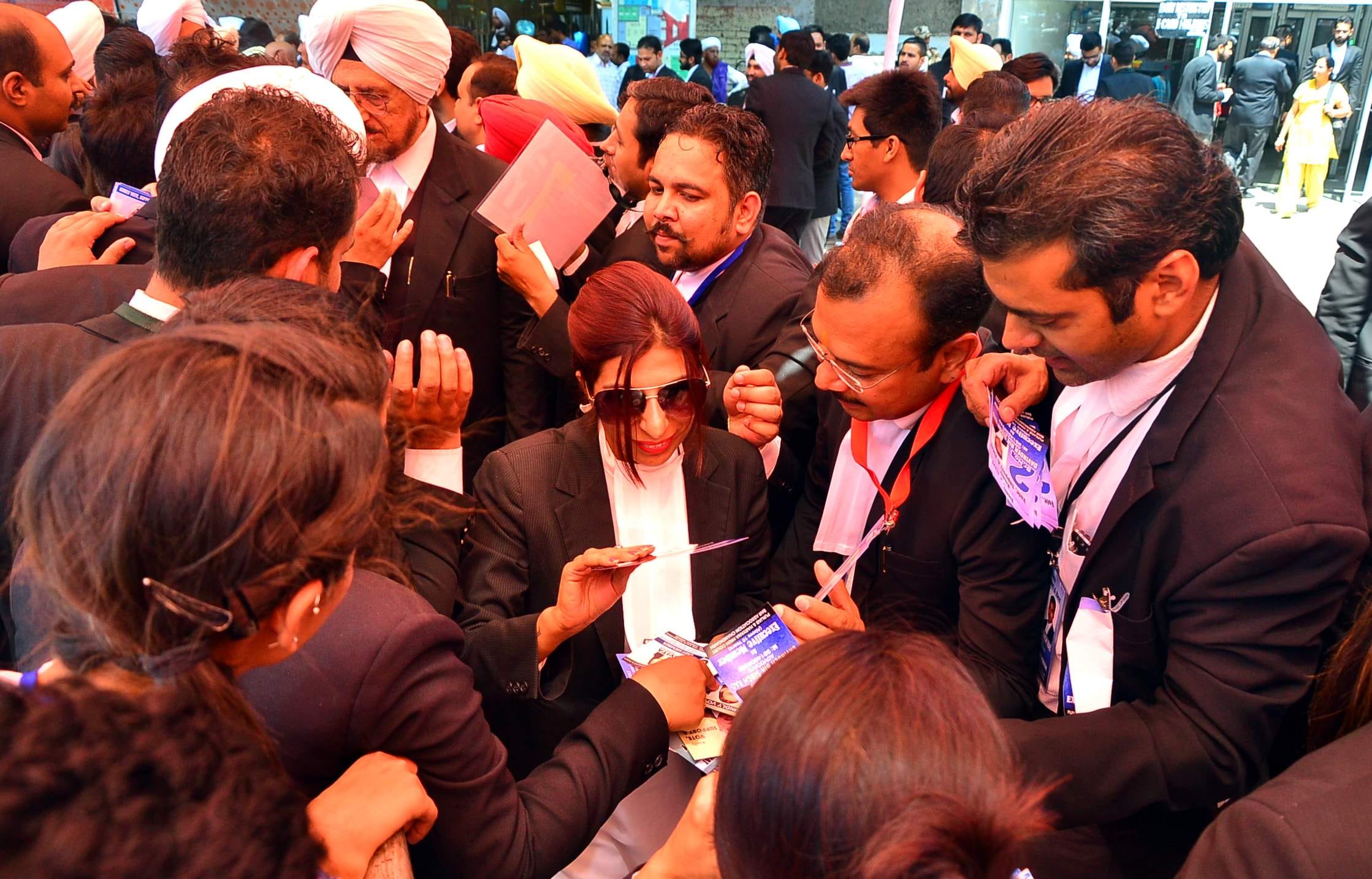bar association election, punjab haryana highcourt election, election pics