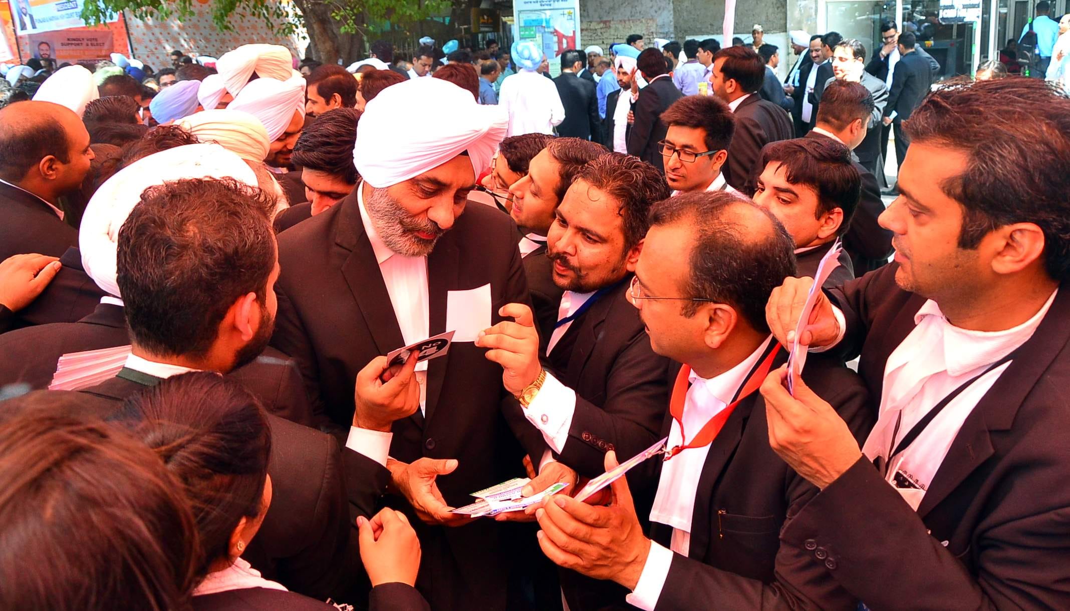 bar association election, punjab haryana highcourt election, election pics