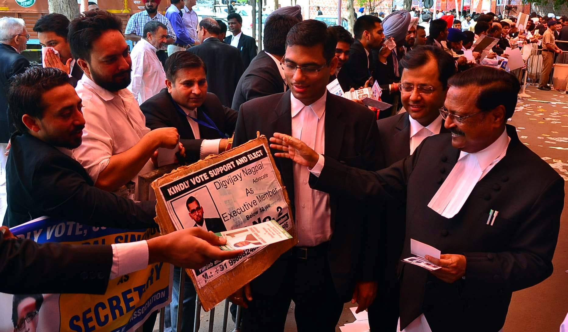 bar association election, punjab haryana highcourt election, election pics