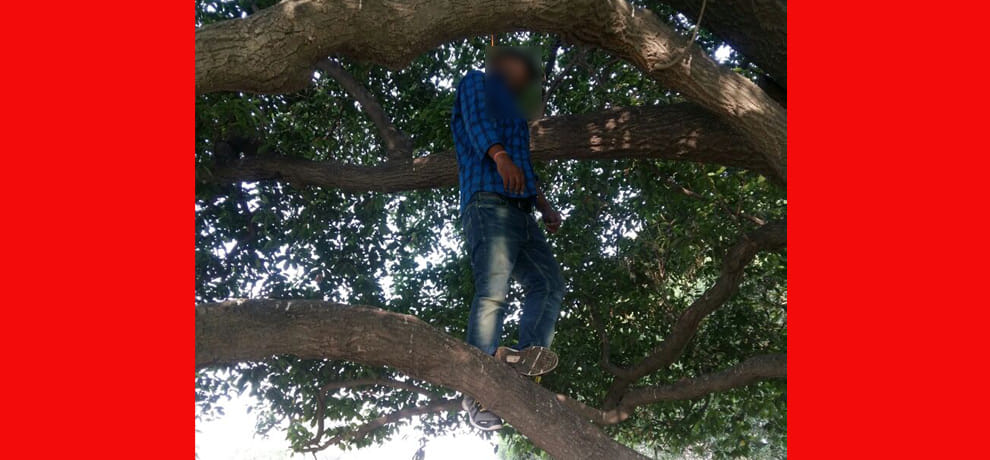 madhya pradesh man hang himself on tree at vijay chowk, delhi