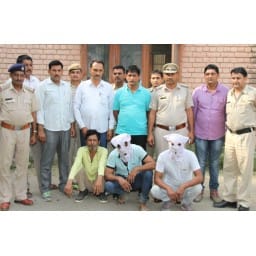 Arrest, three of Naveen khaati gange in hisar, crime news, hisar