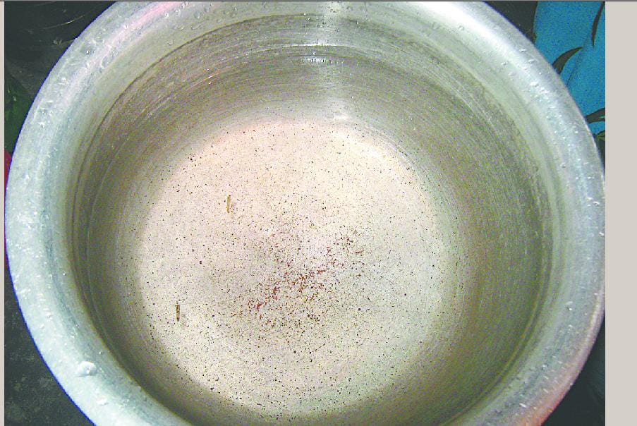Bugs are out with tap water in homes