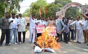 HRD minister 's effigy burnt congressman opposes