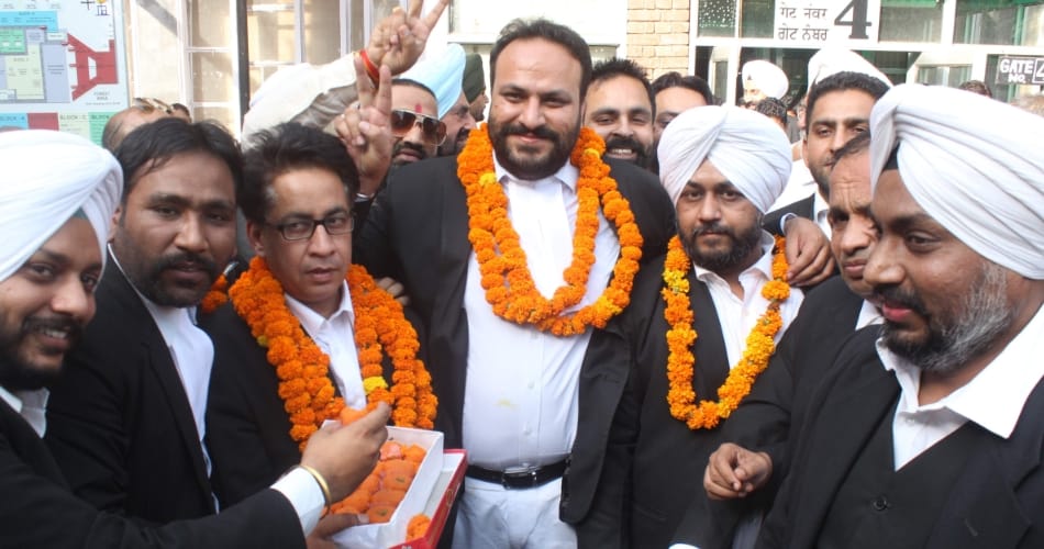 bar association election, harpreet brar wins bar association election, punjab haryana highcourt