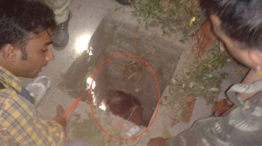   lady fell in to 12 feet manhole 