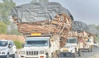 WhatsApp Group runs the business of overloaded