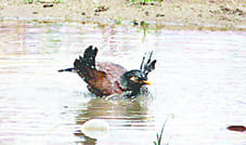 Relief from water