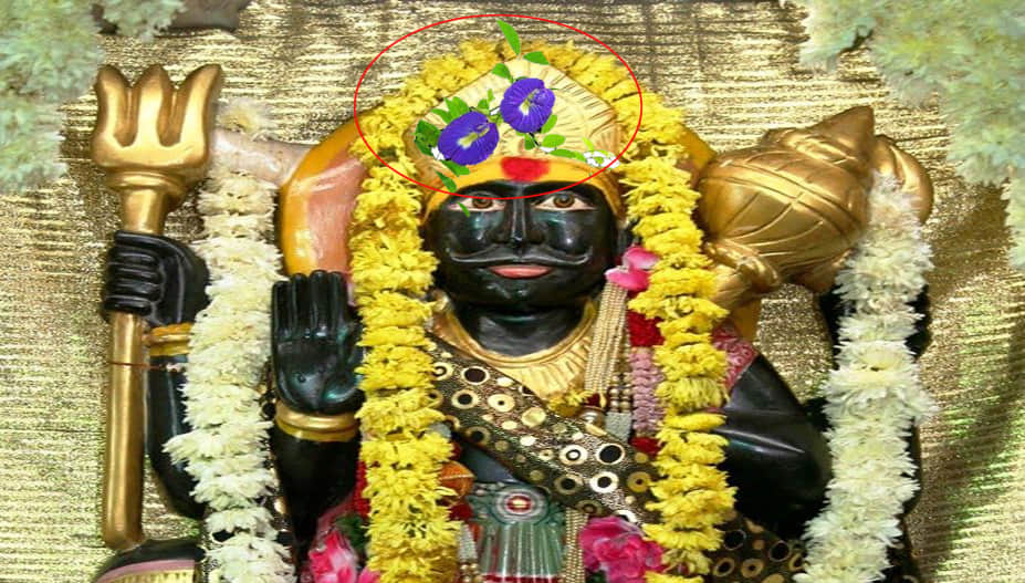 Chandigarh, Solar Eclipse, Shanichari Amavasya