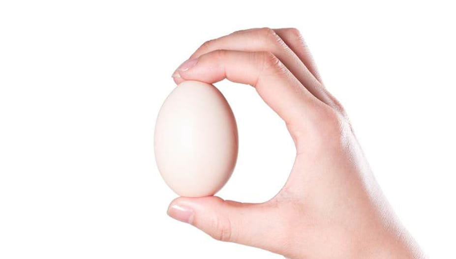 Sold in Ghaziabad 'Kdknath' eggs